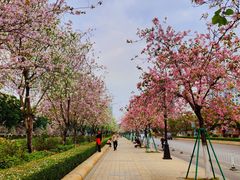 -花都广场