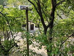 -阳明祠