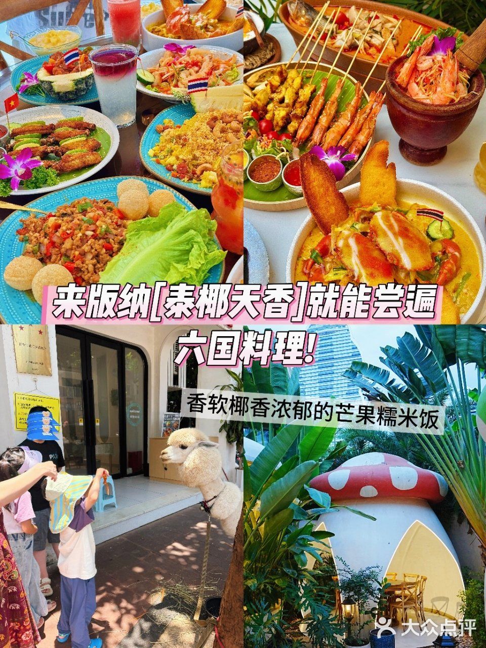 来版纳[泰椰天香]就能尝遍六国料理!🎉