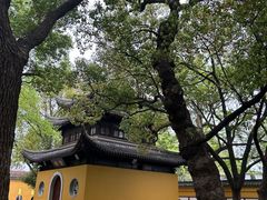 -西园戒幢律寺