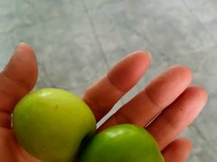 -三亚新鸿港水果一级批发市场