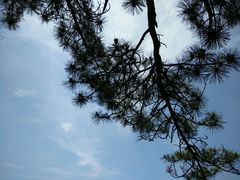 -罗田天堂寨风景区