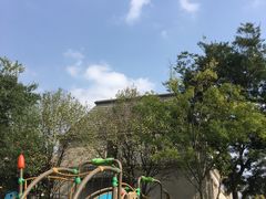 -两河城市森林公园