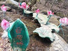 -香炉山国家森林公园