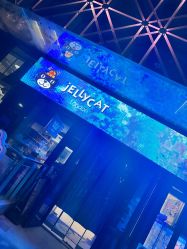 -jELLYCAT(华熙店)