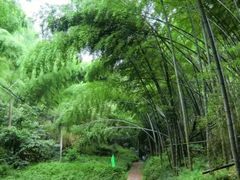 -会稽山峡洞漂流-上青古道