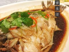清蒸鱼-普天和酒楼·新津菜·烤鸭(天津之眼店)
