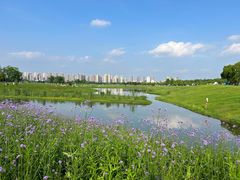 -洋湖国家湿地公园