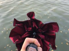 -西湖天地