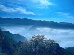 -少华山国家森林公园