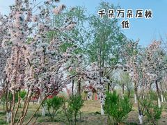 -水西公园