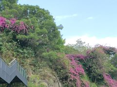 -福道