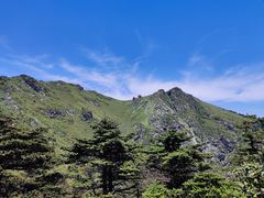 -牛背梁国家森林公园