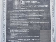 -王莽岭风景区