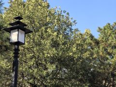 -白水寺森林公园