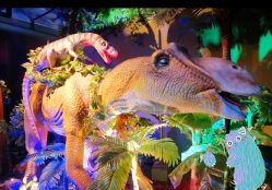 -恐龙探索乐园(磁器口店)