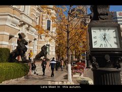 -就这家旋转小火锅(西安路罗斯福店)