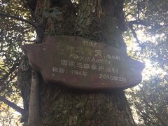 -南岳衡山风景名胜区