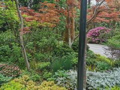 -南山植物园