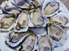 -千岛蚝高压锅生蚝·人参火锅(白云万达店)