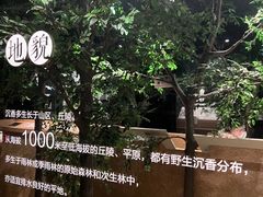 -香市公园-中国沉香文化博物馆