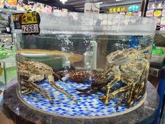 -绿雅居原生态农庄(小涌店)