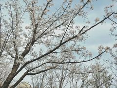 -堤角公园