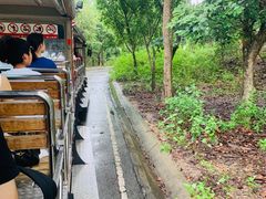 -清迈夜间动物园