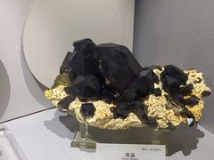 -湖南省地质博物馆