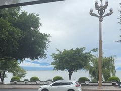 -野菌皇海景野生菌火锅(滨海大道店)