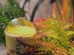 -SENTEA森茶(麦地丽日店)