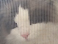 -翠湖宾馆·中餐厅