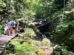 -本溪汤沟绿石谷森林公园