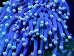 -香炉礁家具市场