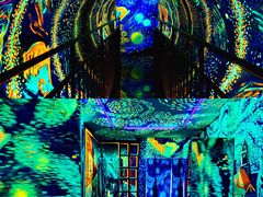 -成都梵高星空艺术馆(春熙路旗舰店)