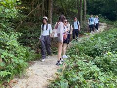 -素山寺森林公园