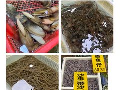 -寻味顺德·南记酒家·传统顺德菜·鱼生(广源路店)