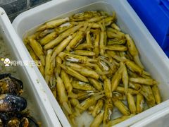 -阿杰臻选海鲜饭店(普陀山店)