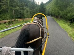 -苏木山森林公园