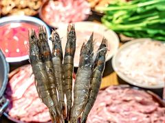 -阳阳老火锅(小南门店)
