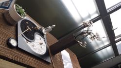 -酉嘉瑜伽YO+YOGA