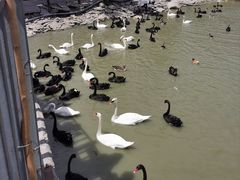 -新疆天山野生动物园