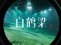 -白鹤梁水下博物馆