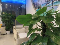 -中青旅遨游旅行旗舰店