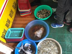 -大树下饭店(春晓镇慈岙社区卫生服务站南)