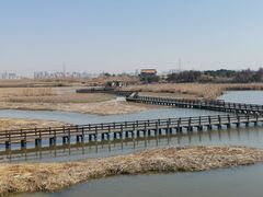 -宁波杭州湾国家湿地公园