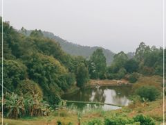 -天强农家菜馆