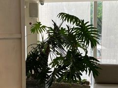 -無用生活空间(北京店)