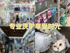 -集宠猫柠宠物生活馆