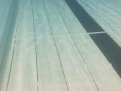 -奥林匹克体育中心游泳馆